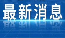 深圳爆料热点新闻最新事件,科技巨头并购引发行业地震，揭秘背后真相